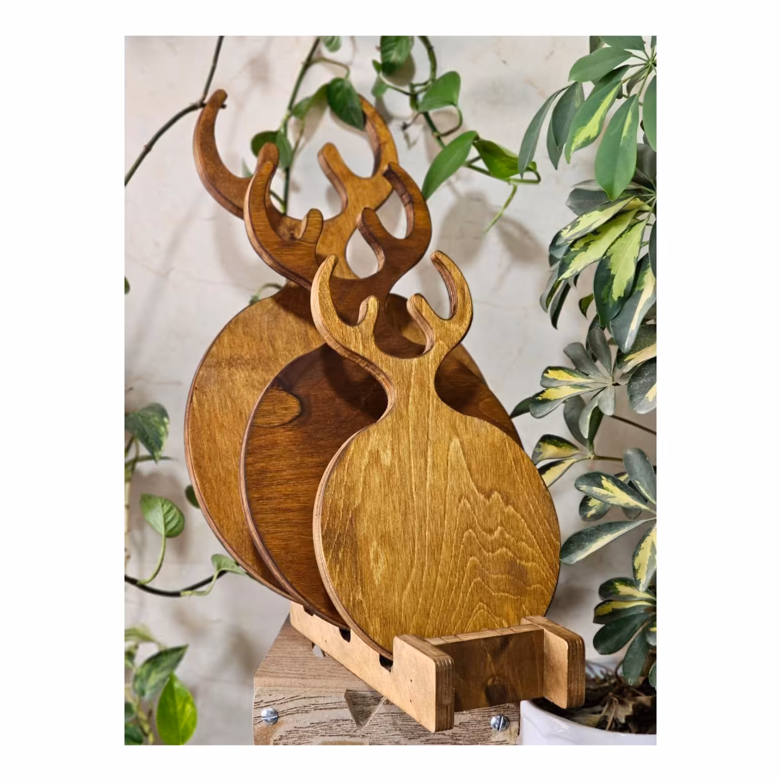 تخته سروگوزن 3عددی دایره
همراه با پایه
جنس عالی قابل شستشو
