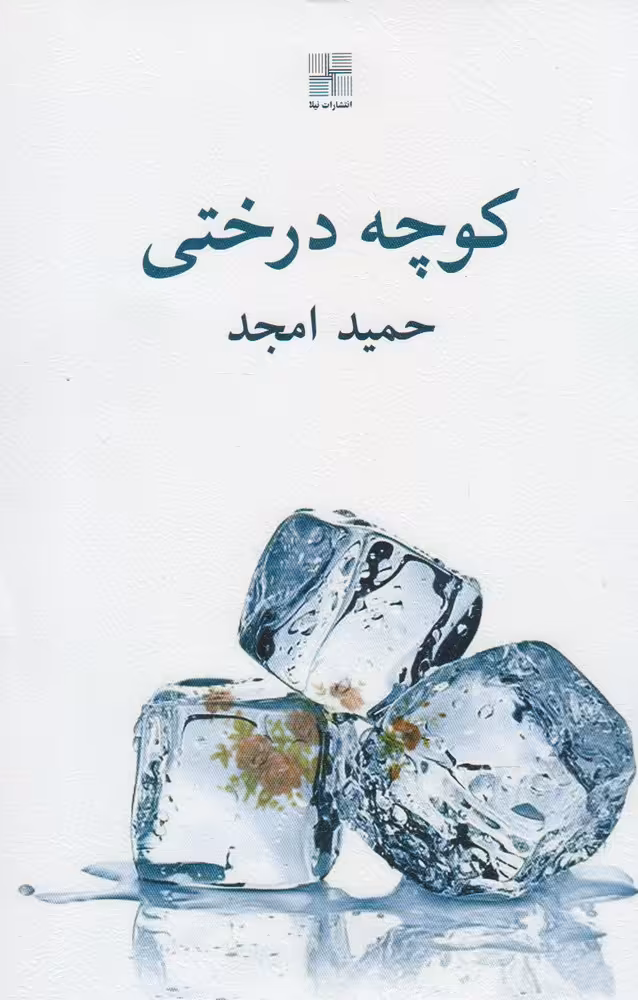 کتاب کوچه درختی نشر نیلا اثر حمید امجد