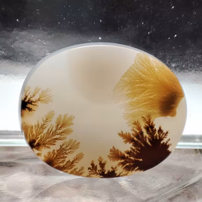 شجر قائن کلکسیونی طبیعی و معدنی کد 806