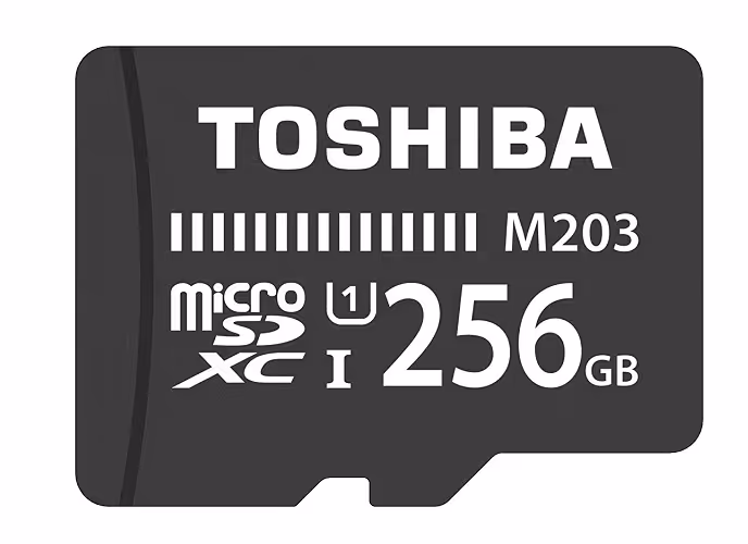 کارت حافظه microSDXC توشیبا مدل M203 کلاس 10 سرعت 100MBps با ظرفیت 256 گیگابایت