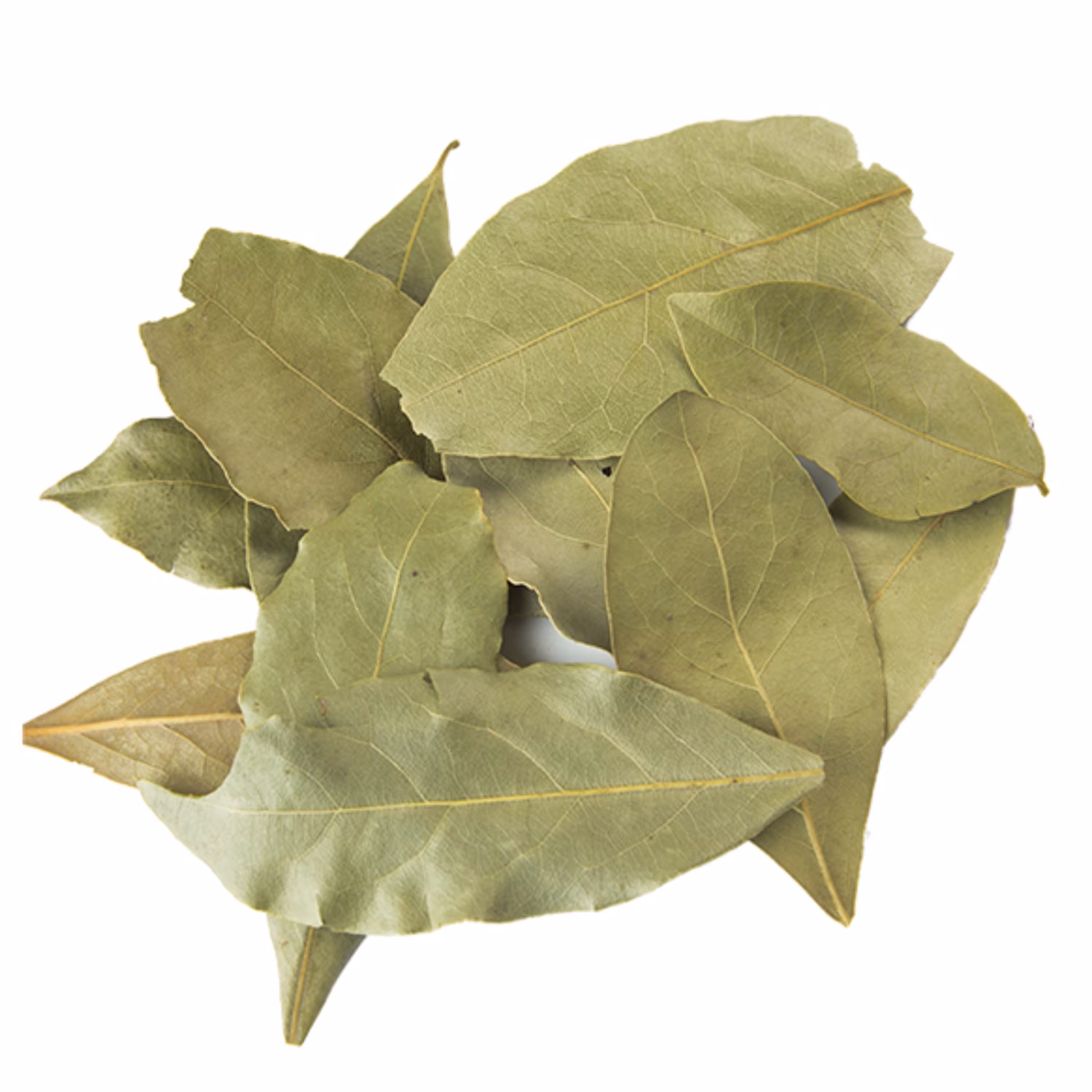 برگ بو 50 گرمی اعلا