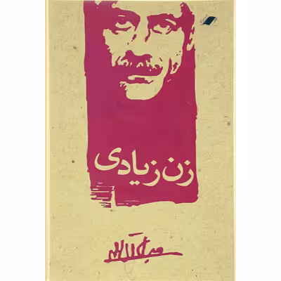 کتاب زن زیادی