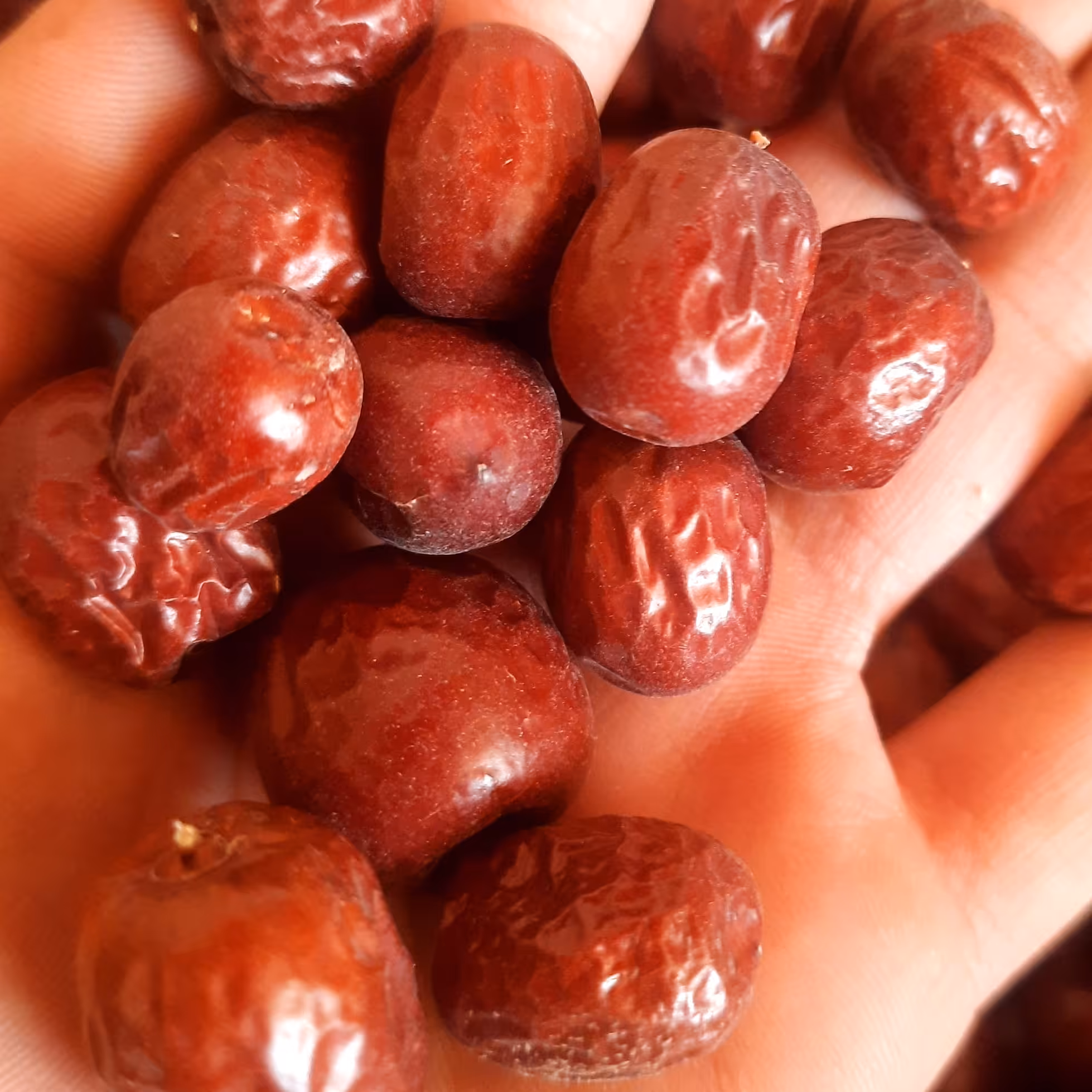 عناب خوش طعم بیرجندی 1 کیلویی