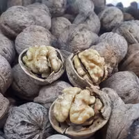 گردوی  امسالی نیم کیلویی 90 هزار تومن