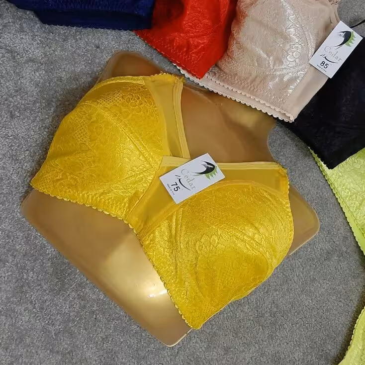 سوتین مدل پروانه ای