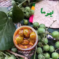 ترشی پوهیل روغنی سپستان(500گرم)پهیل بدون هسته