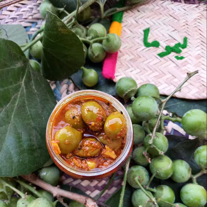 ترشی پوهیل روغنی سپستان(500گرم)پهیل بدون هسته