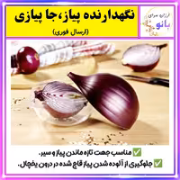 ارگانیزر،نظم دهنده،نگهدارنده،جاپیازی،جا پیازی،ظرف نگهدارنده پیاز (ارسال فوری).