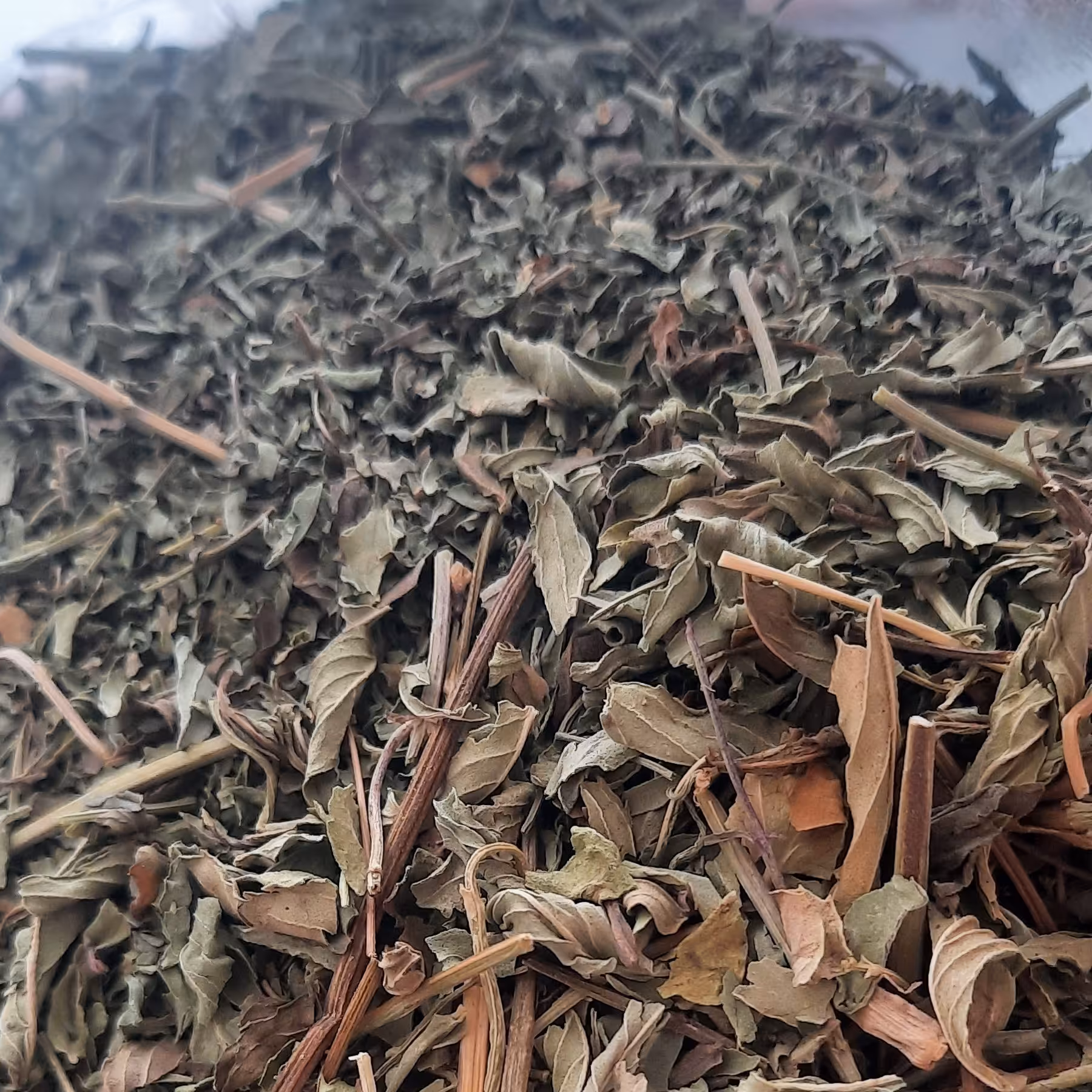 نعناع خشک 100 گرمی