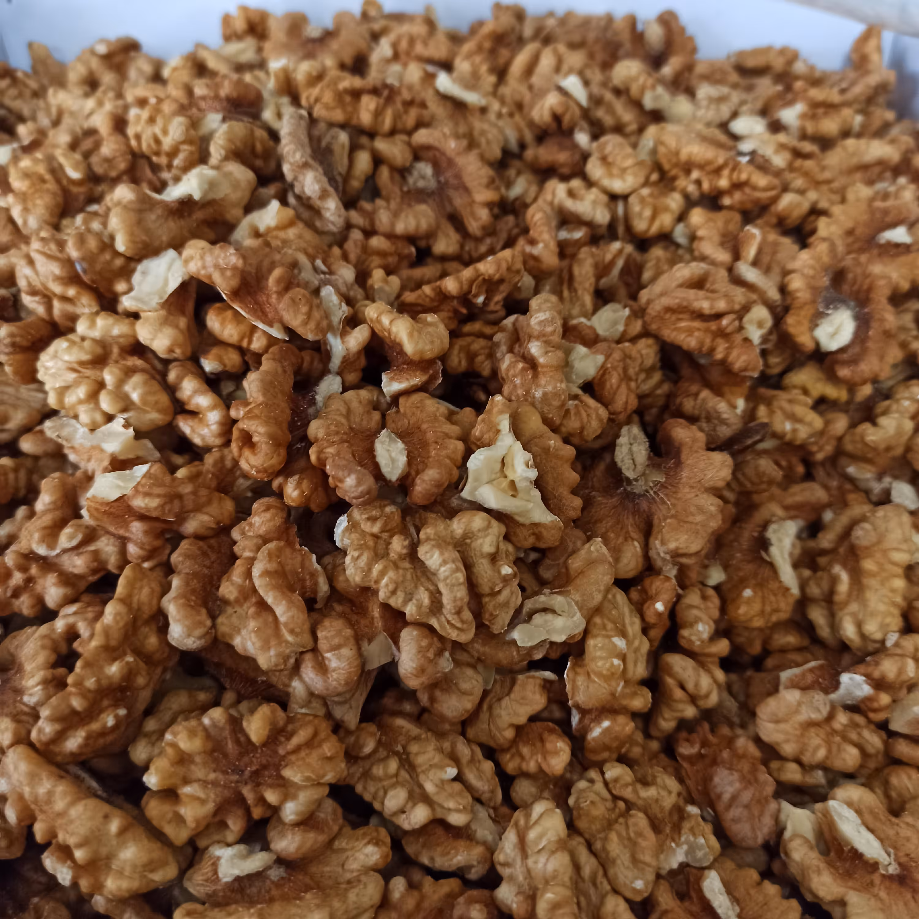 گردو درجه یک و تازه(بسته 1کیلویی)