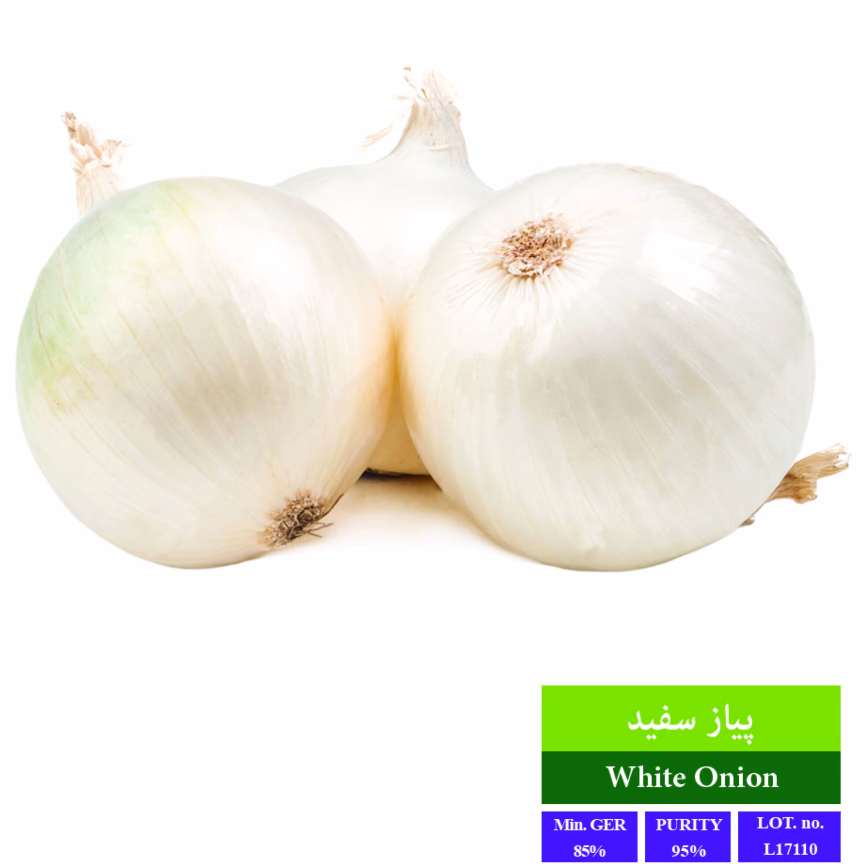 بذرپیاز سفید بذر طلایی رویان 