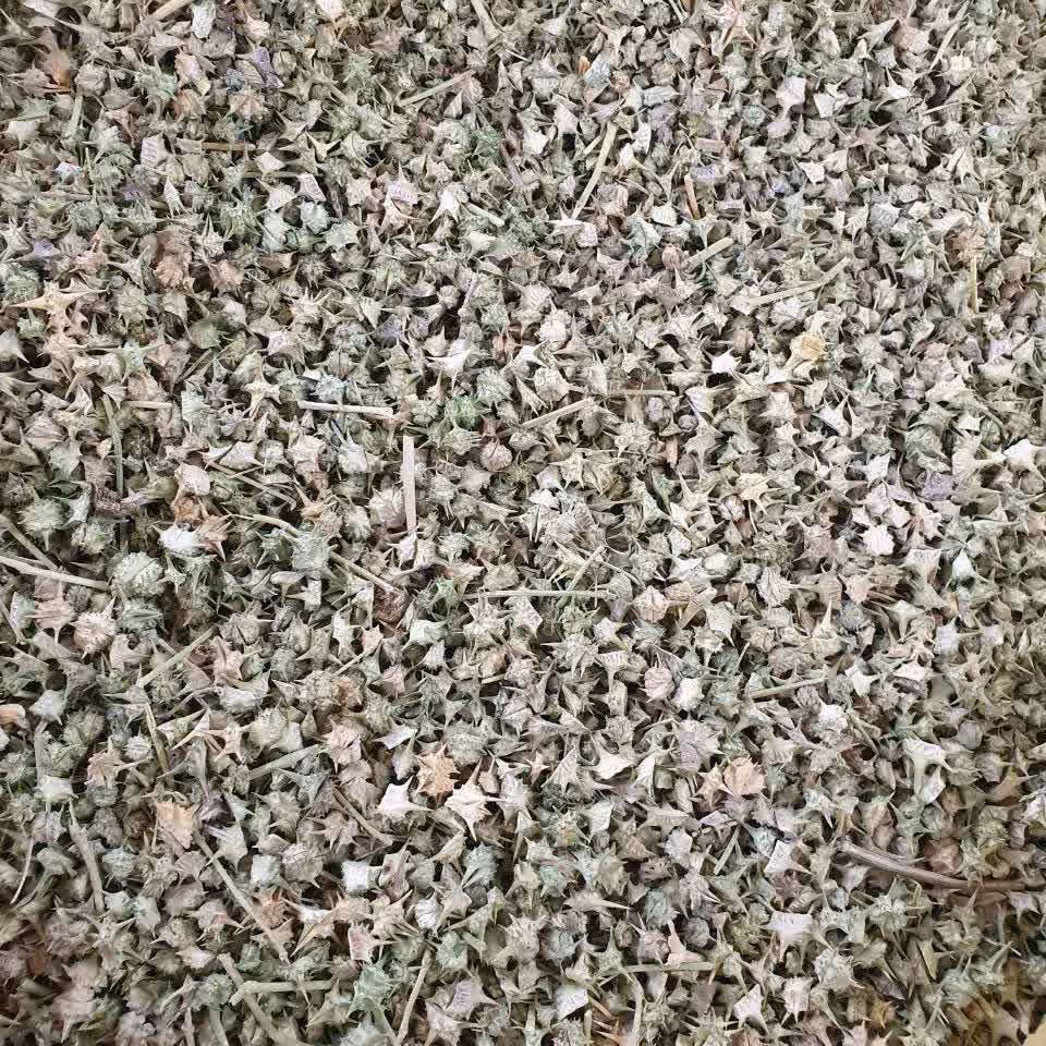 خارخاسک 500گرم