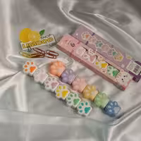 هایلایتر 5تایی پنجه گربه  فانتزی وارداتی درجه یک