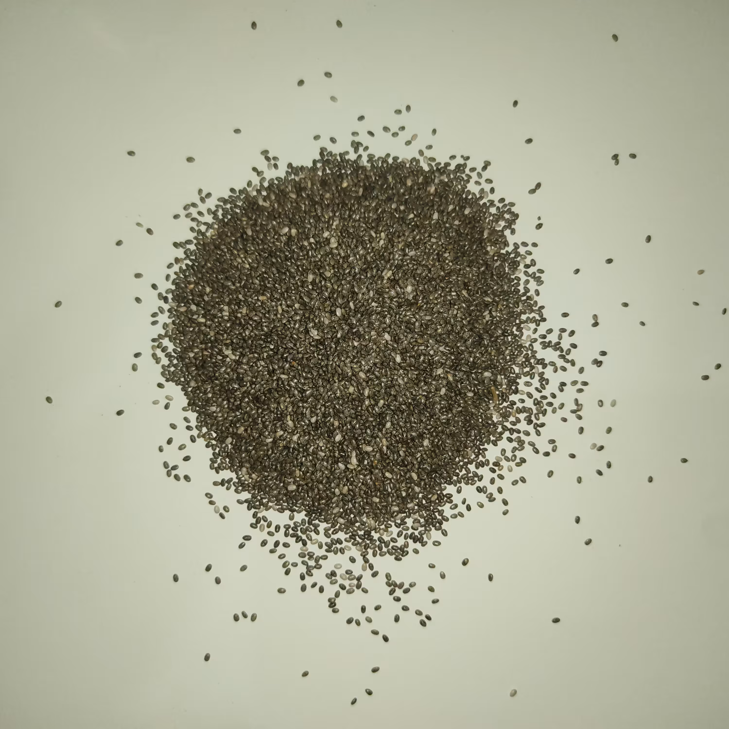 تخم چیا سورت شده درجه یک 1000 گرمی