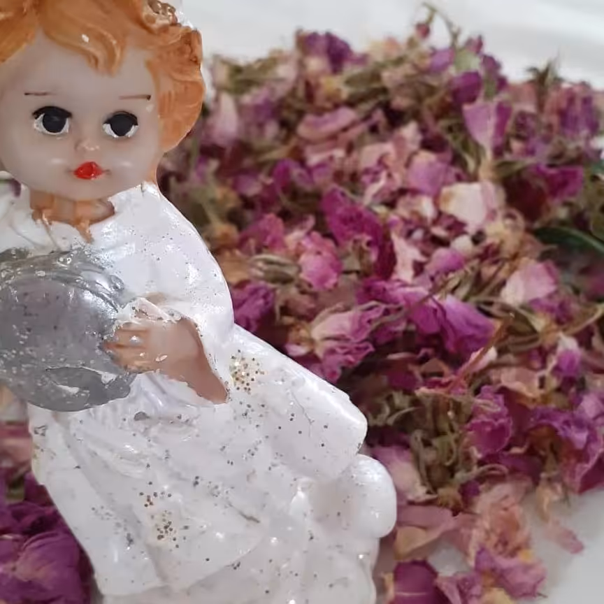 گل پر محمدی خشک شده در بسته های 100 گرمی