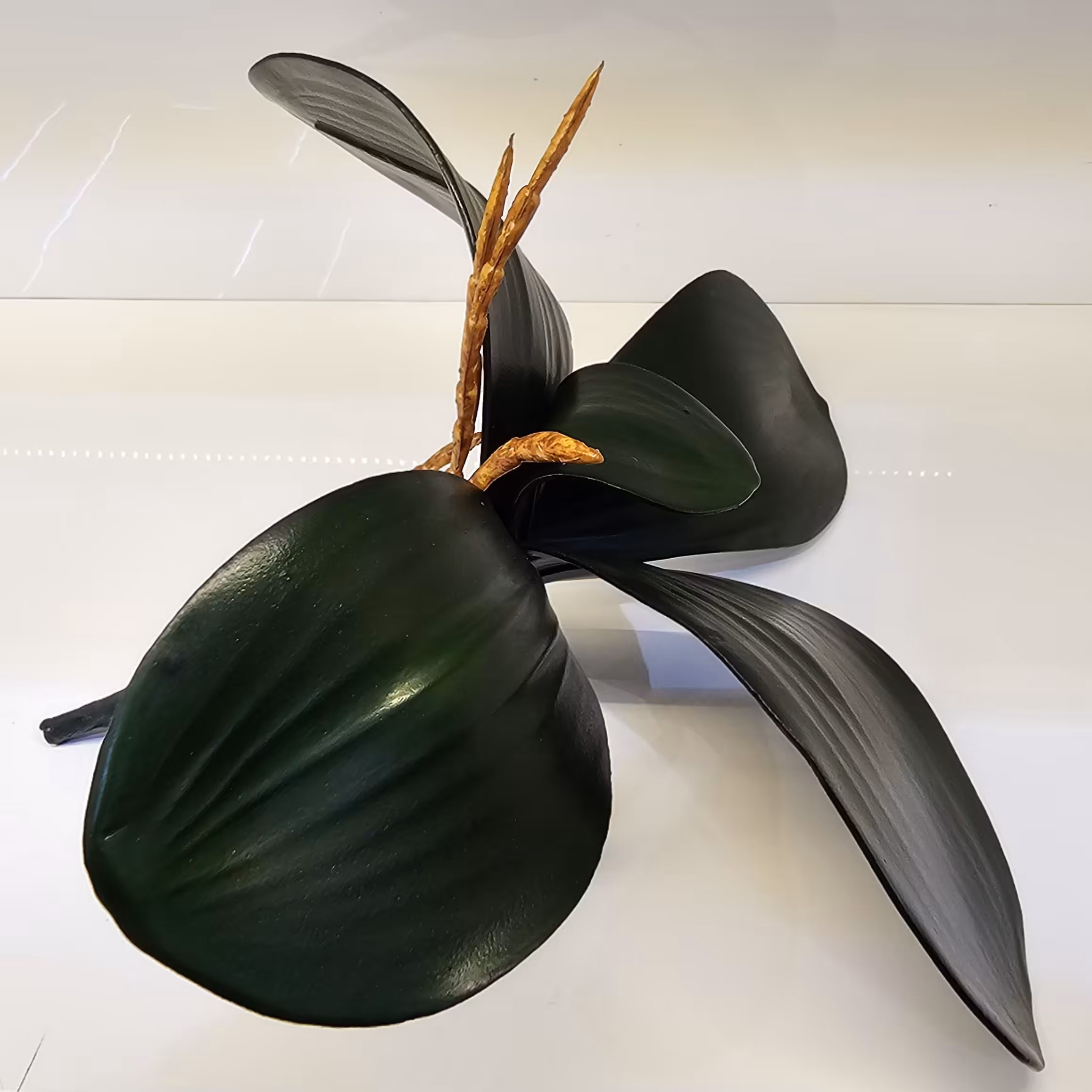  گل مصنوعی برگ ارکیده پنج بازو لمسی چرمی (عالیجناب)