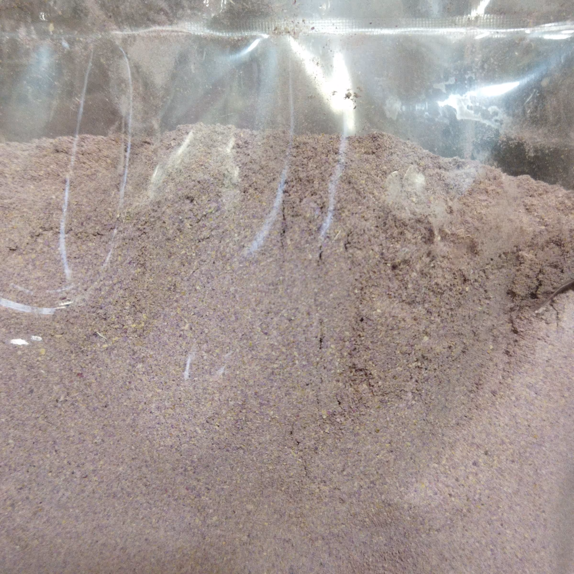 پودر گل محمدی عطاری رضوان 