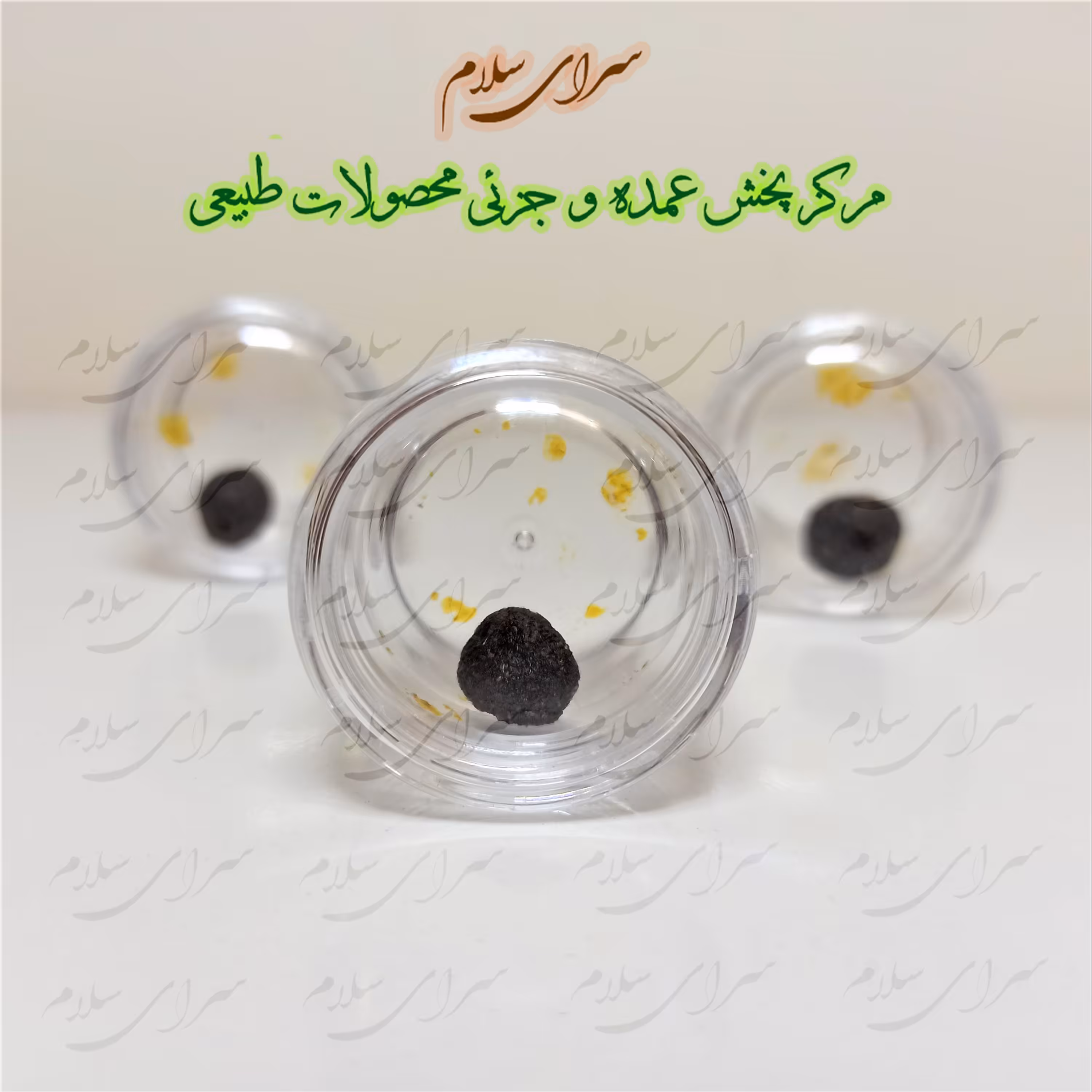 جامع امام رضا تک عددی اعلا