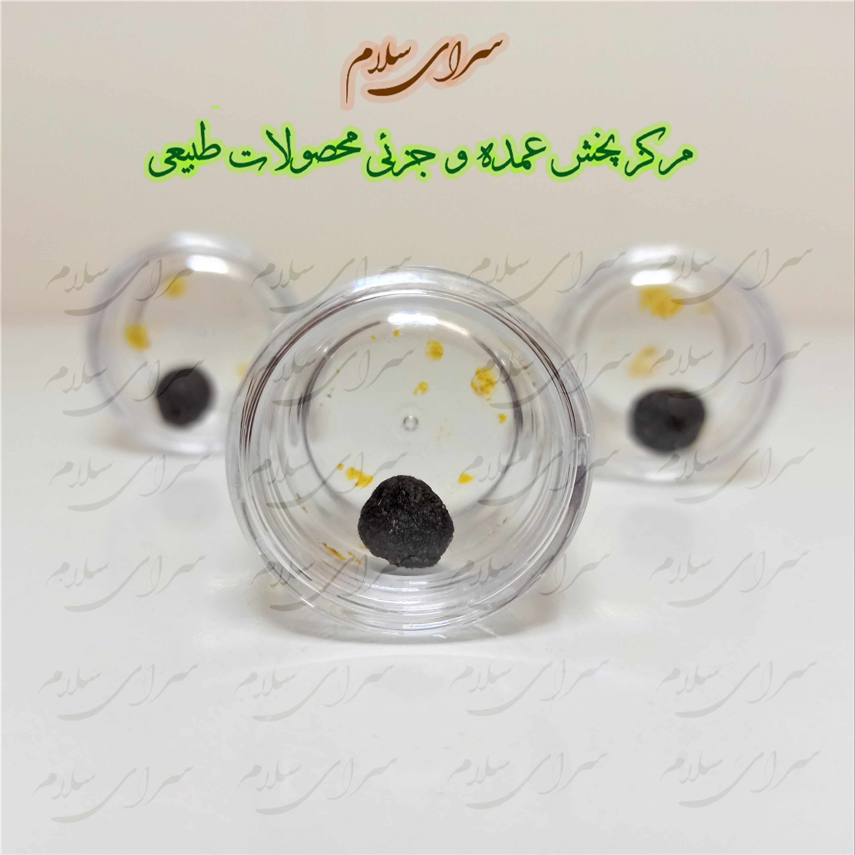جامع امام رضا تک عددی اعلا 