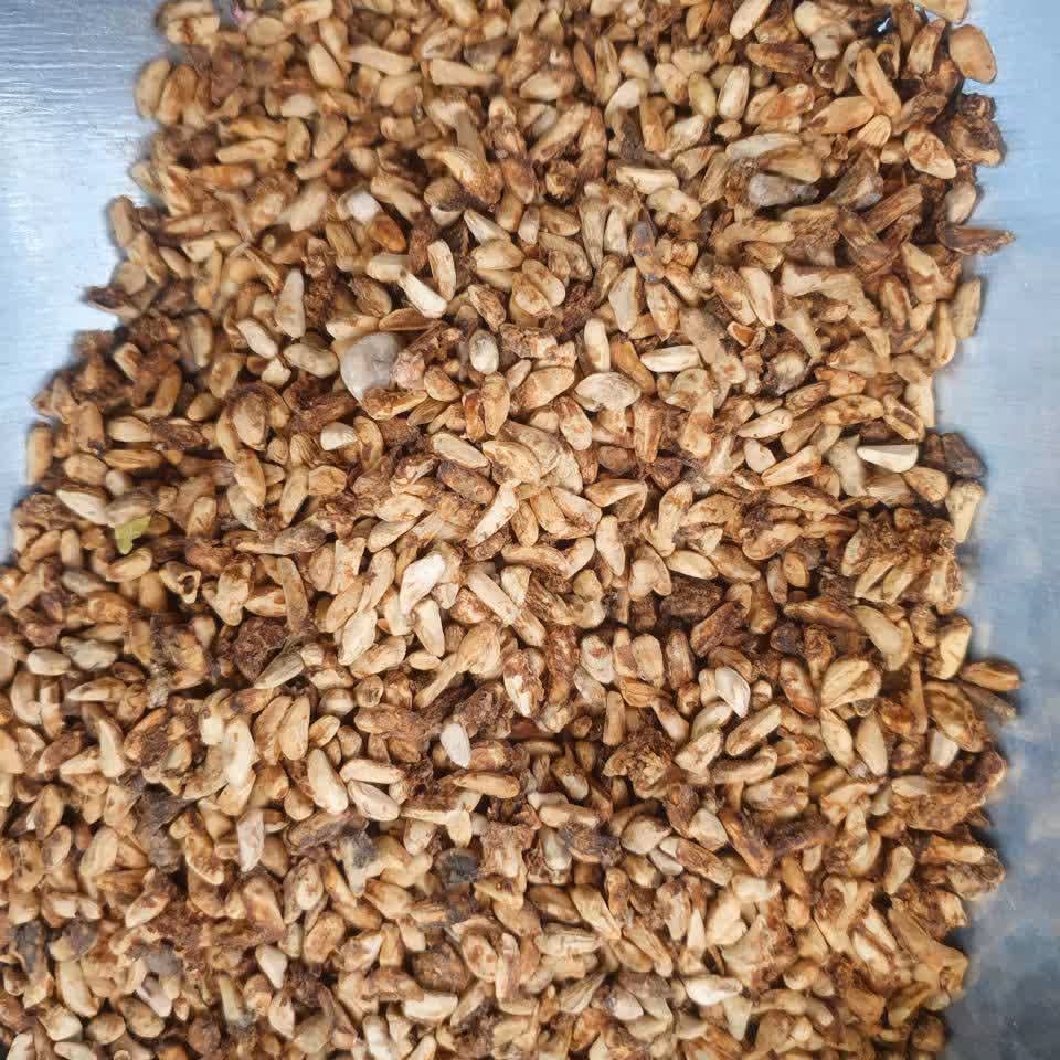 هسته انار خشک 100 گرم 