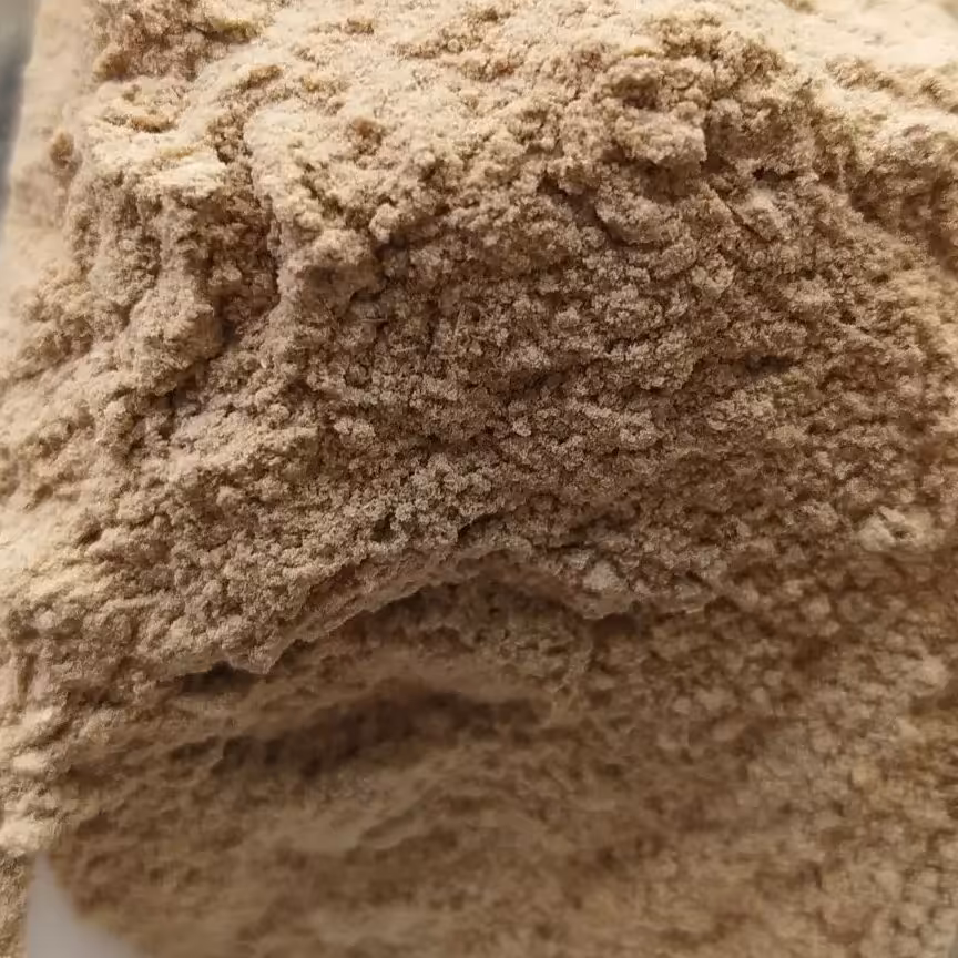 سیریش سریش چسب طبیعی پودری 500گرم