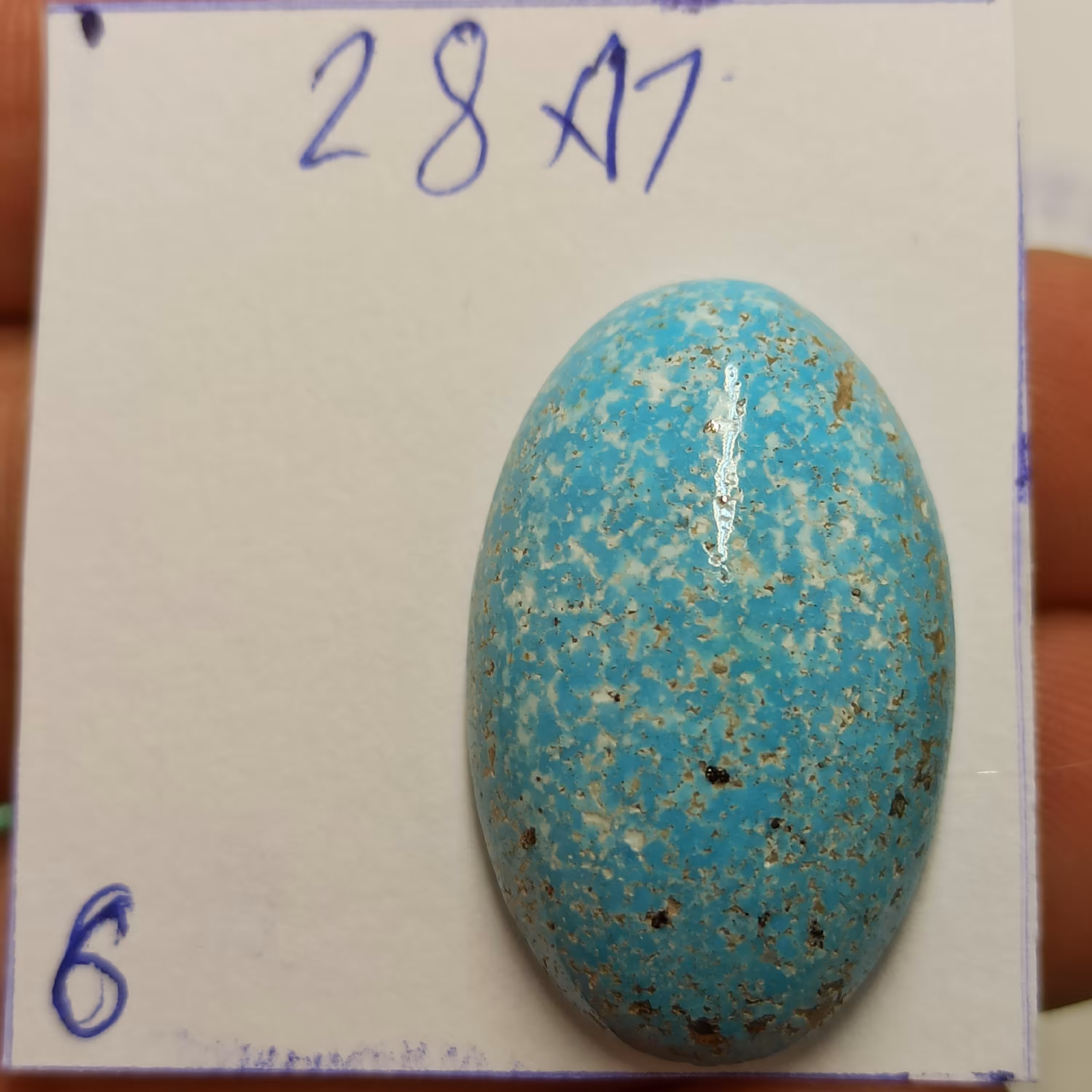 فیروزه طبیعی سایز درشت 