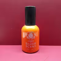 ادکلن مردانه لتیزن رایحه SILVER SCENT حجم 50 میلی لیتر