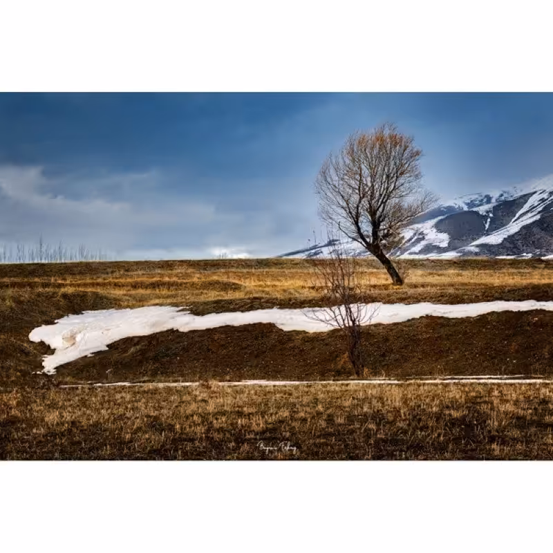 تابلو شاسی کد benpics-0085 (ابعاد 60x40 - شاسی 8 میل-کاغذ سیلک-اصالت تصویر)