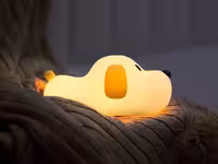 چراغ خواب فانتزی رومیزی قابل شارژ New and Strange Silica Lamp l-05