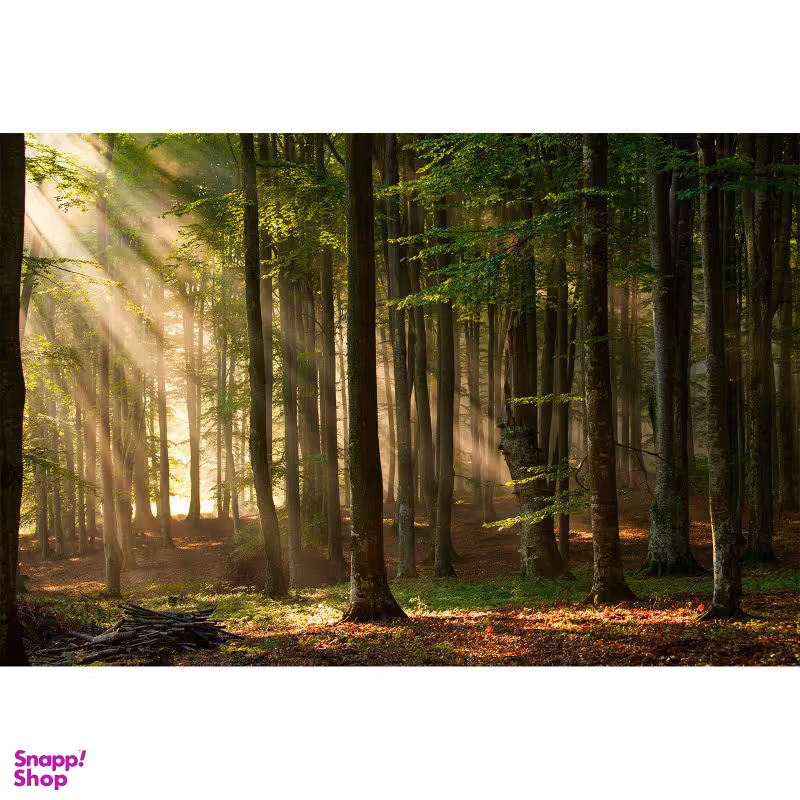 تابلو شاسی طرح طبیعت ارامش بخش کد 77