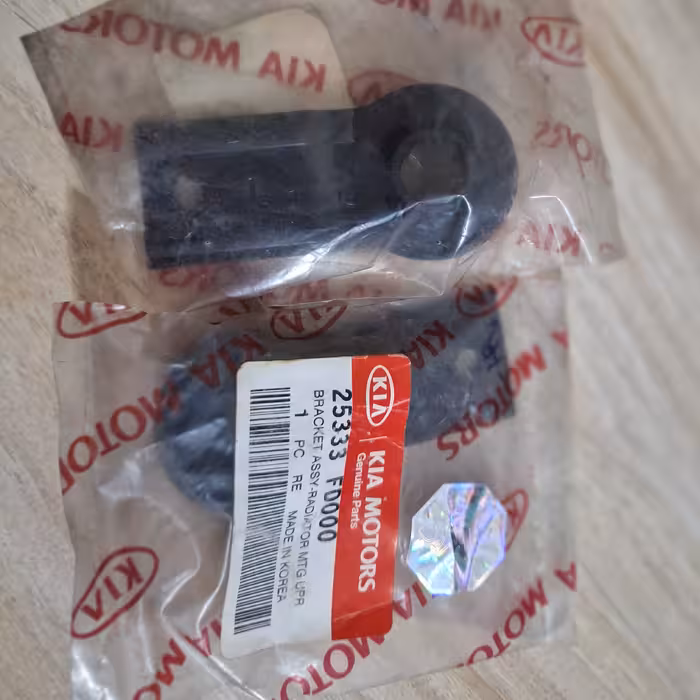 دیاق  یا بست فلزی بالای رادیاتور  ریو اصل کره اورجینال کیا اصلی