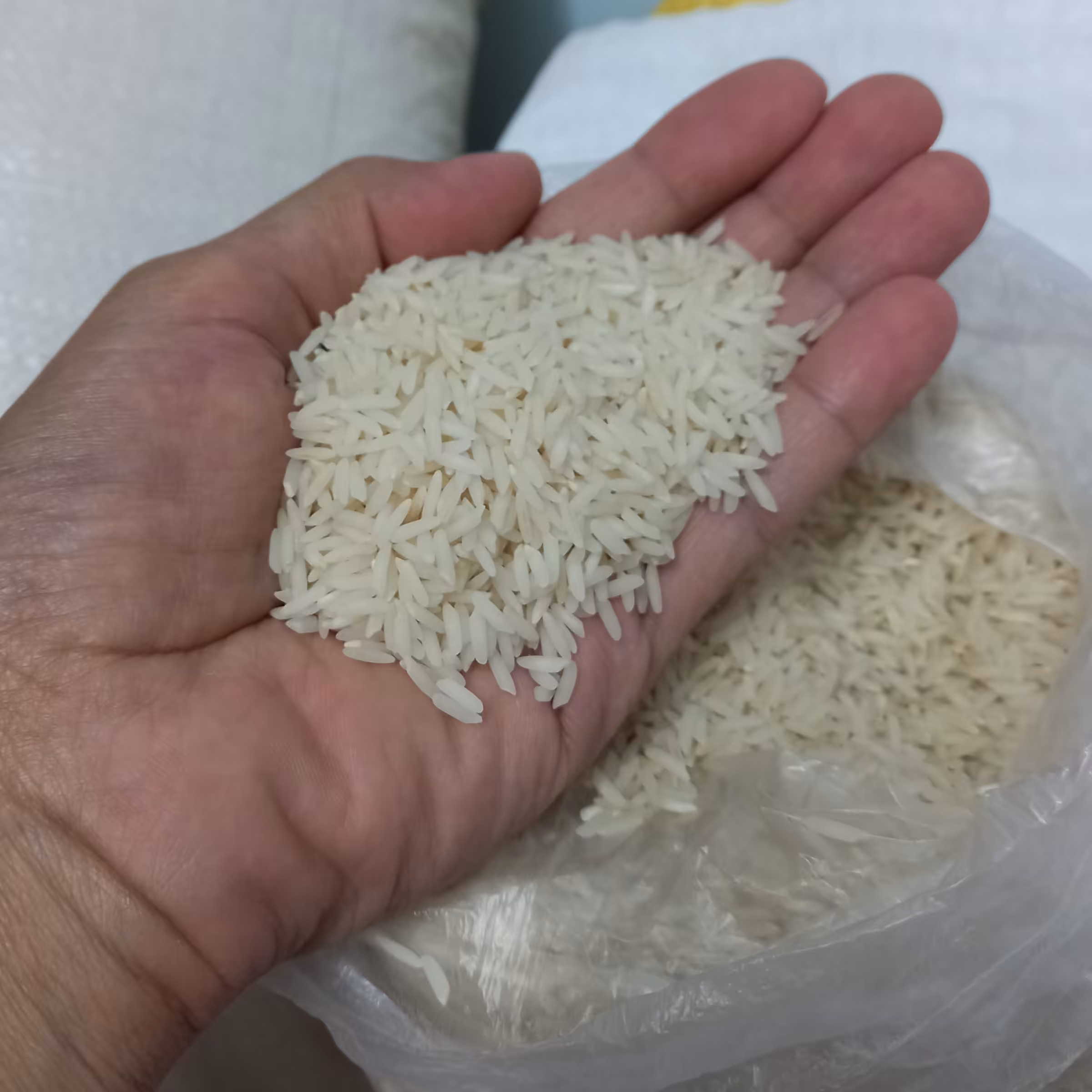 برنج طارم هاشمی ساله گذشته