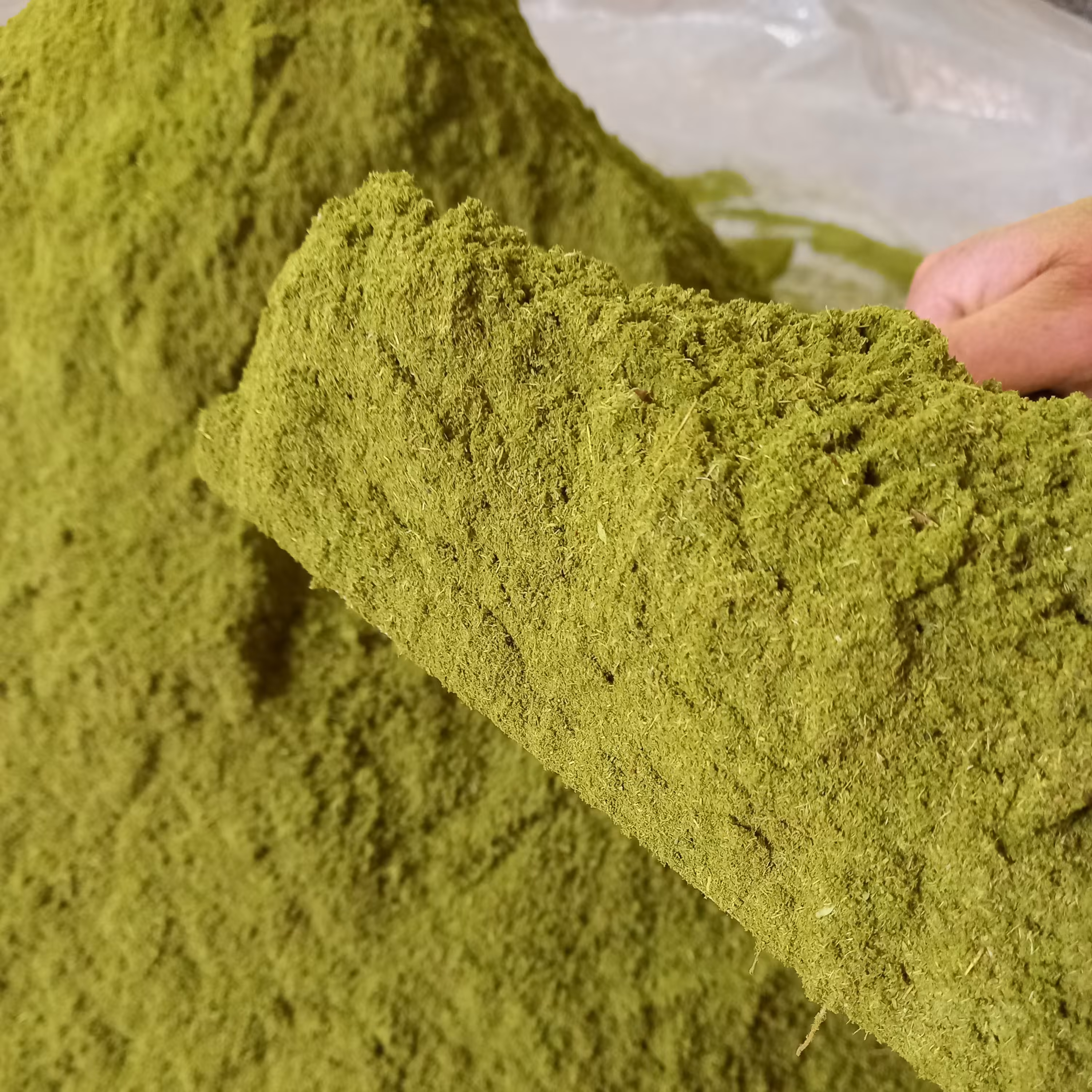 پودر آویشن 10 گرمی  قزوین در جه یک خوش عطر و خوش رنگ 