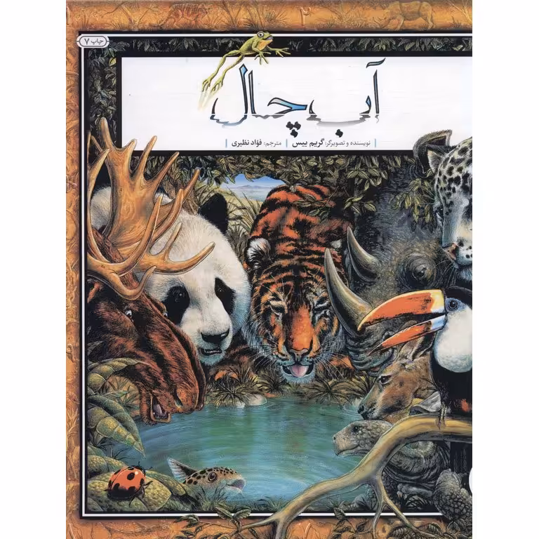 آب چال