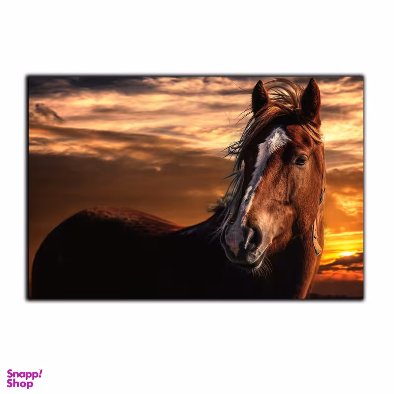 تابلو شاسی بکلیت طرح حیات وحش اسب مدل SH-7570