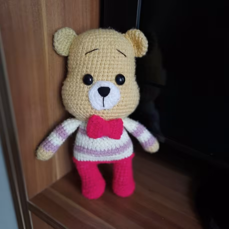 عروسک خرس نگران