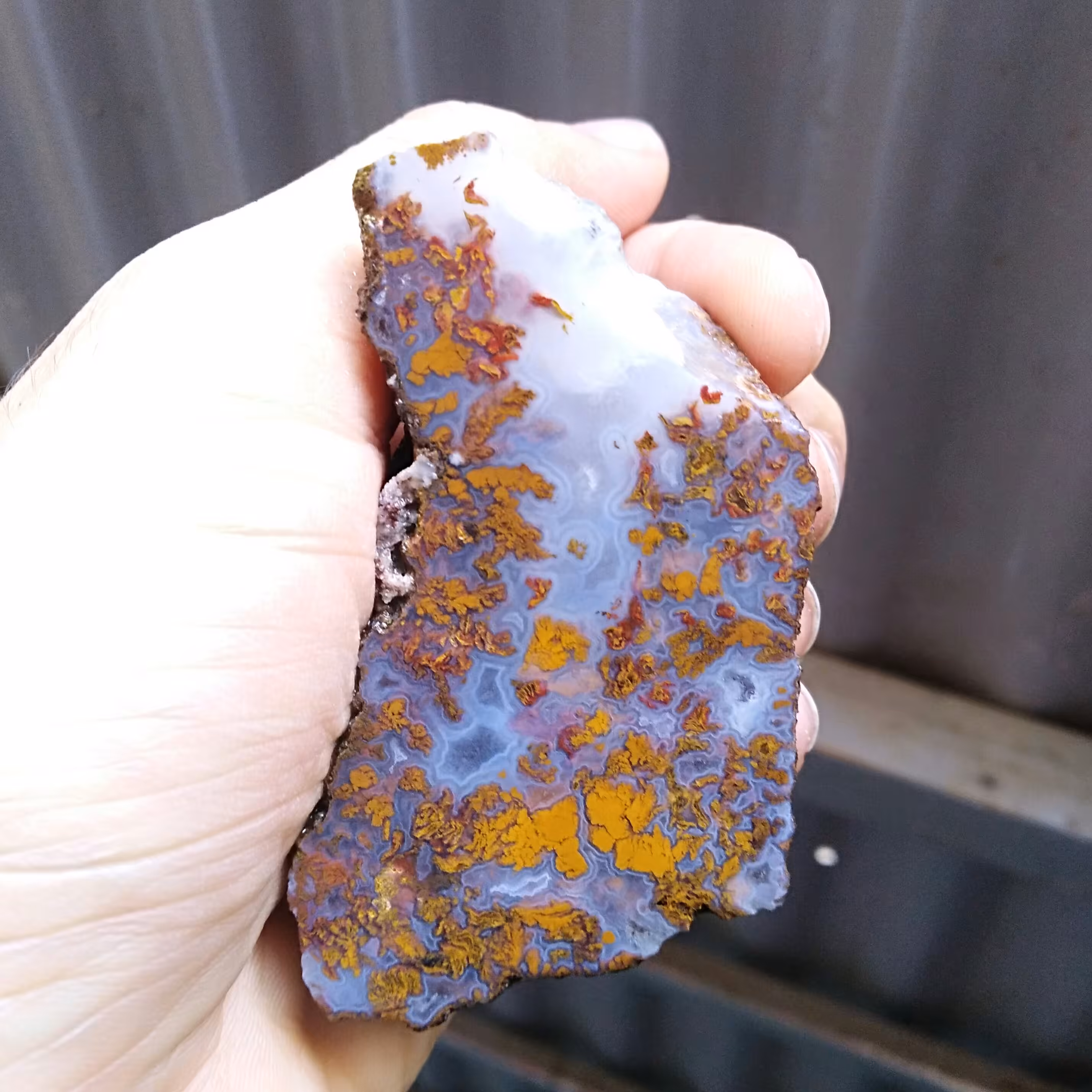 اسلایس راف شجر پاییزی محشرررر دیدددنی کاملا طبیعی