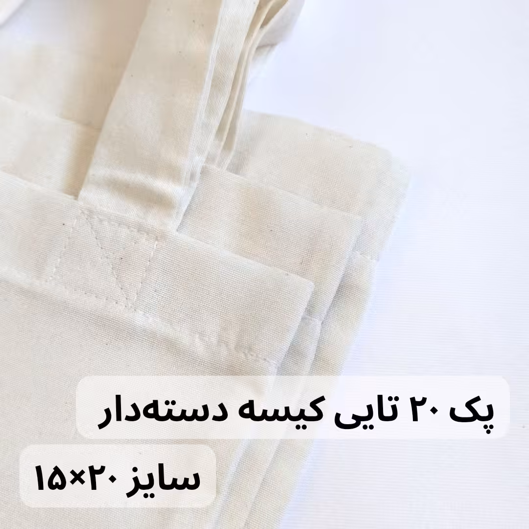 پک 20 تایی کیسه دسته دار متقال سایز 15 در 20