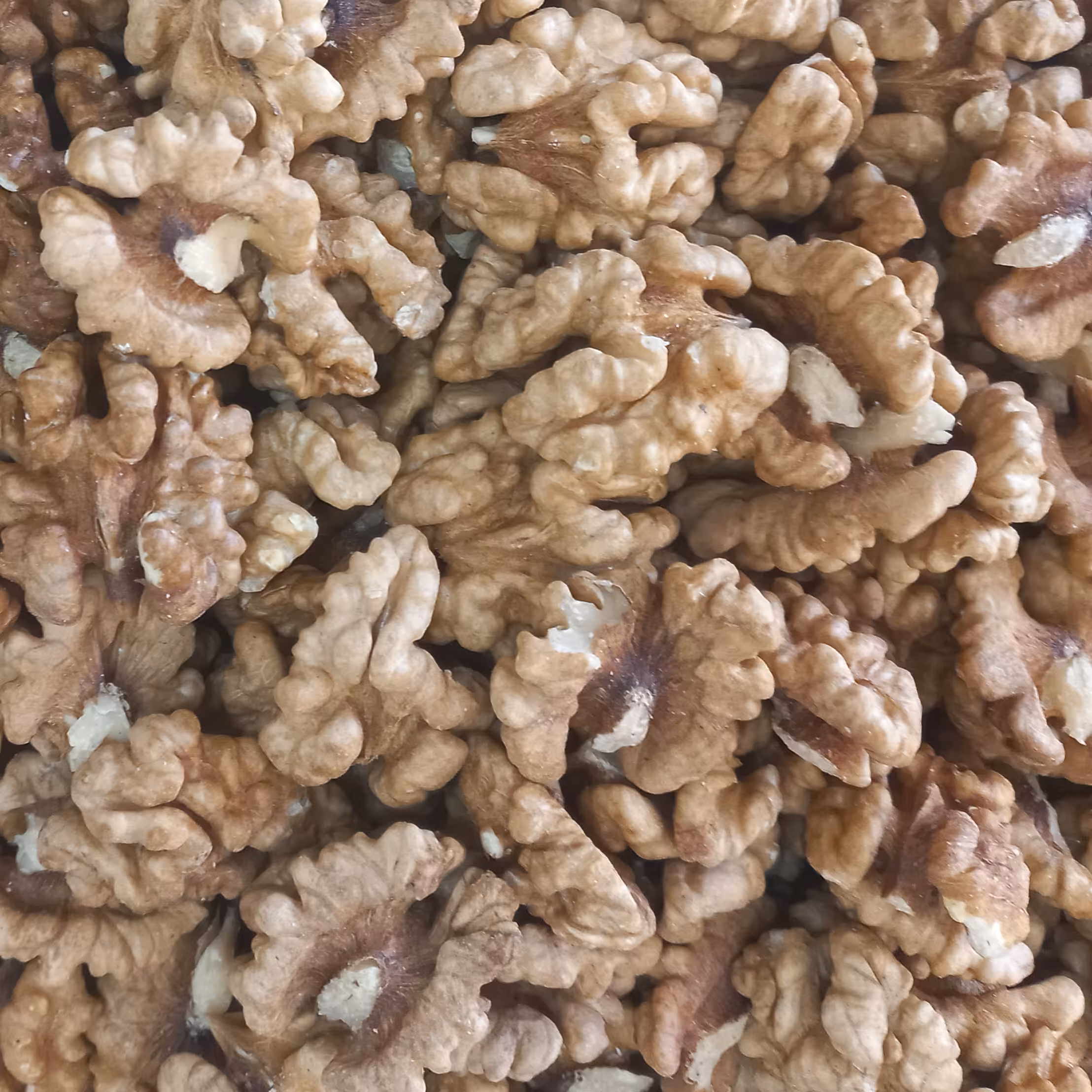 مغز گردو  امسالی لوکس