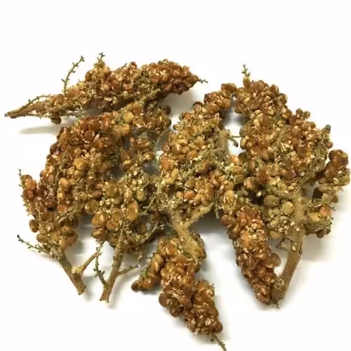 سماق شاخه ای( قهوه ای)توجه کنید بخاطر جابجایی مطمئنن دانه های سماق از شاخه اش جدا میشه 250 گرم خالص در نایلون