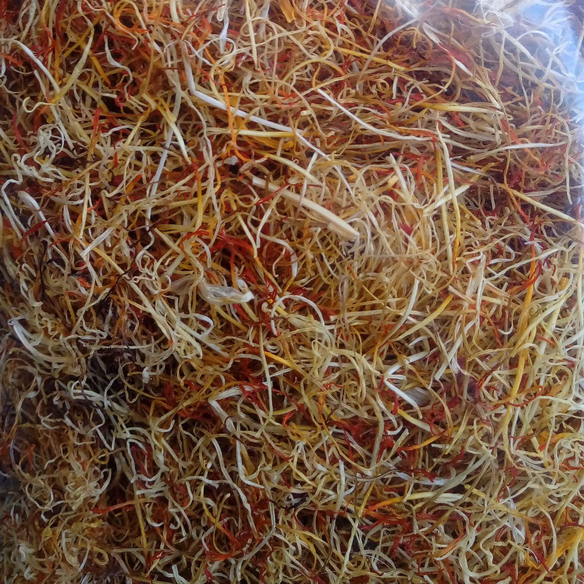 ریشه زعفران قاینات4 گرمی