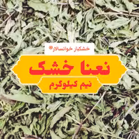 برگ نعنا خشک باغی خوانسار ( نیم کیلوگرم) خشکبار خوانسالار