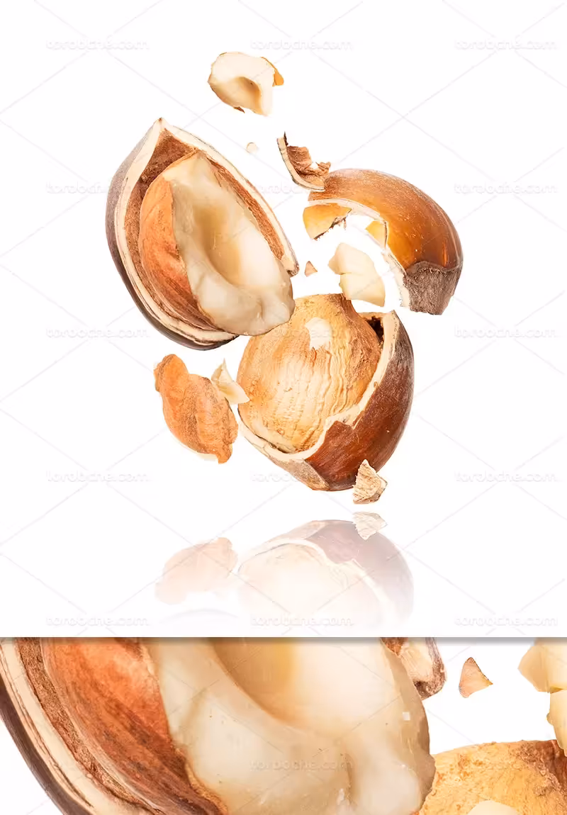 عکس فندق بی پوست | گرافیک با طعم تربچه