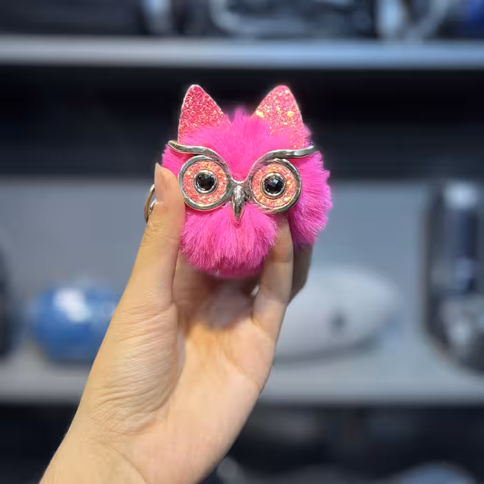 جاکلیدی طرح جغد رنگبندی صورتی کرم مشکـی