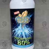 کود فسفر بالای 80 درصد شوک یک لیتری