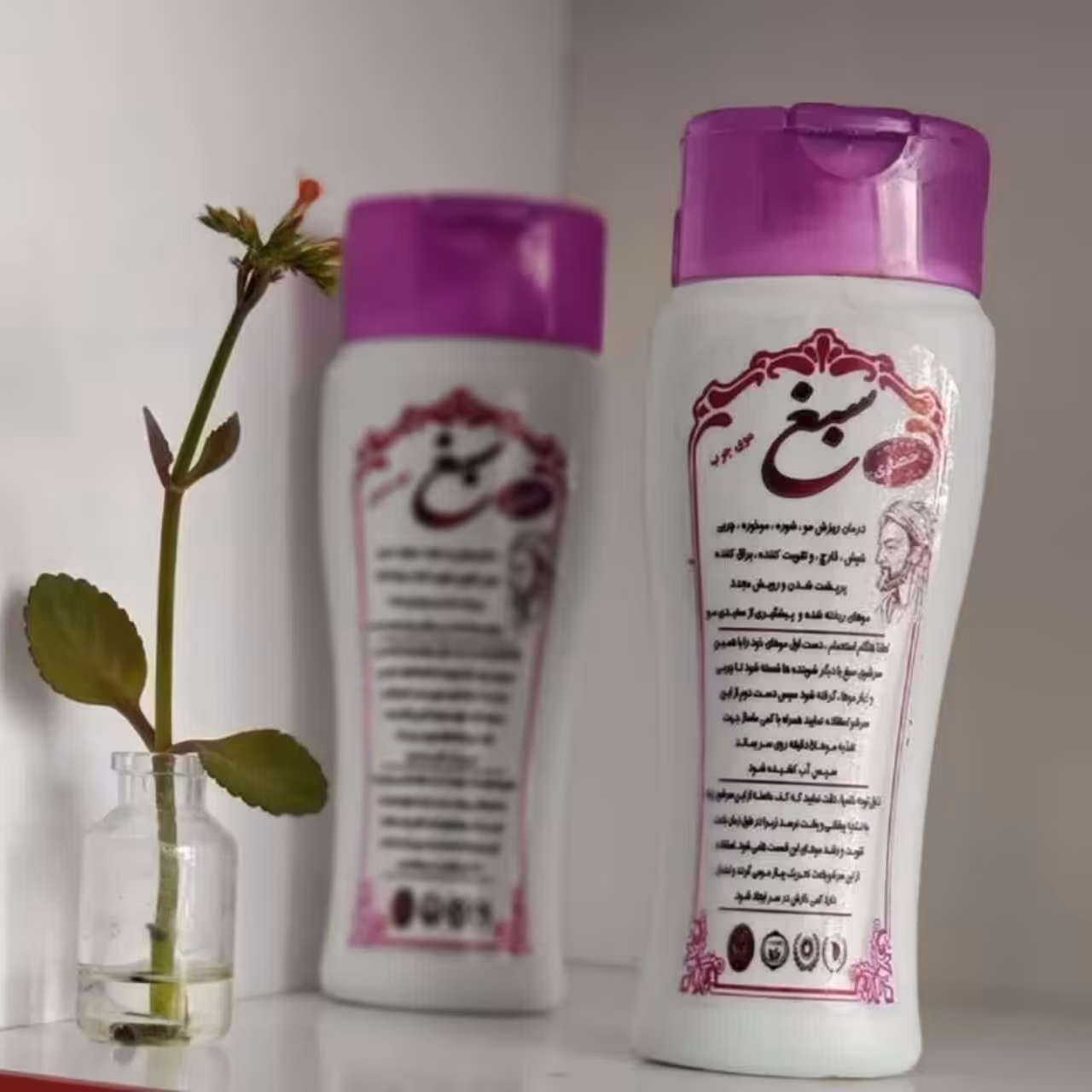 شامپو سبغ 
