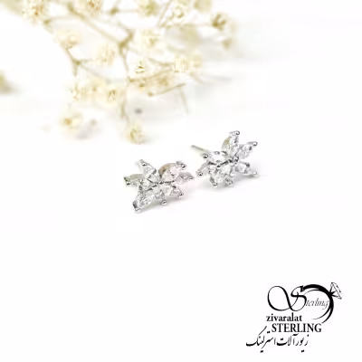 گوشواره میخی نقره کد 6220