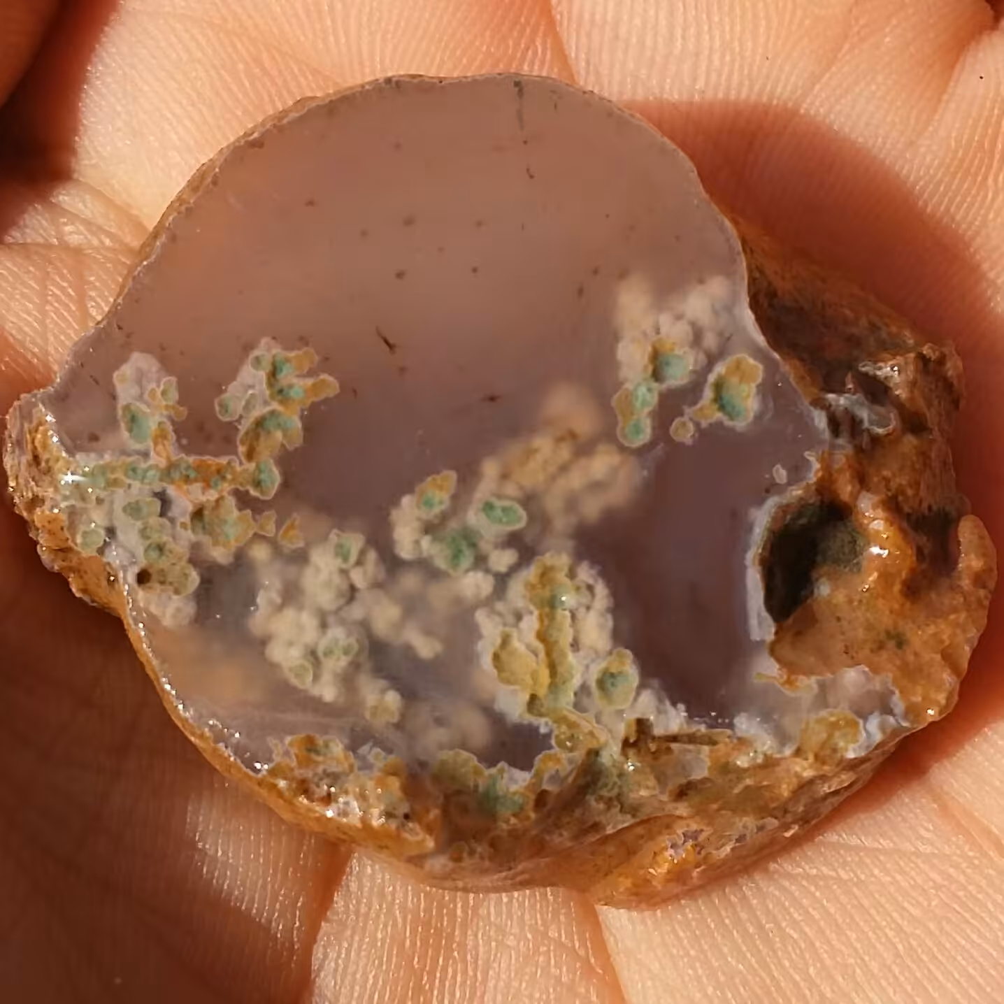 اسلایس سنگ راف شجر شکوفه خاص دیدنی کاملا طبیعی شاااااااهکار خلقت
تابلو نقاشی طبیعی
تکرار نشدنی 