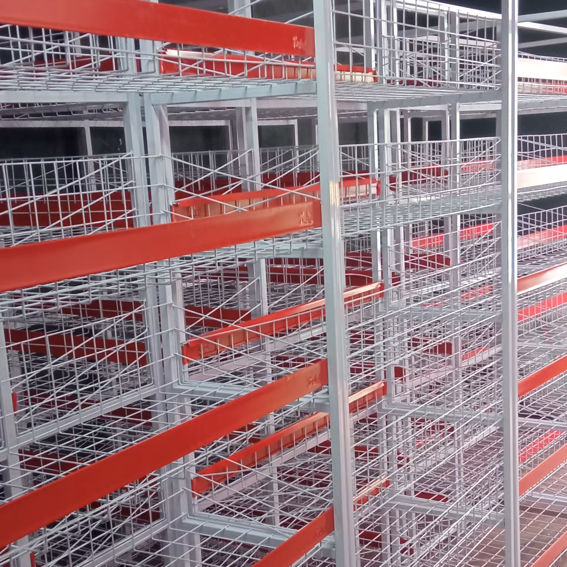 قفسه استندفلزی رگال مانکن