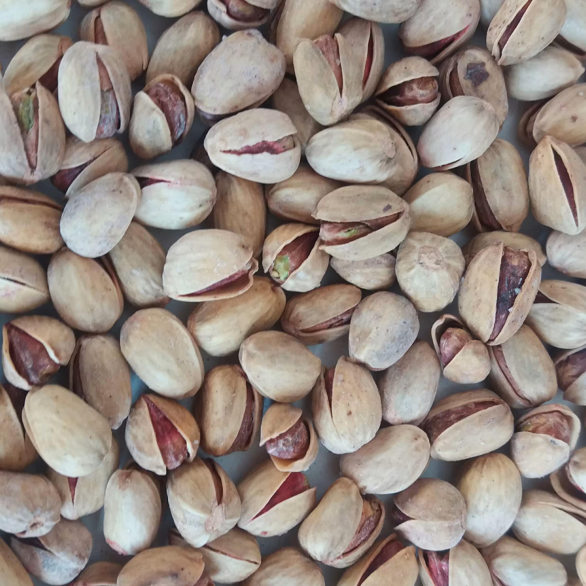 پسته کله قوچی برشته و شور ( ده کیلوئی )